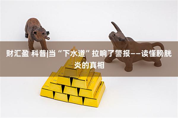 财汇盈 科普|当“下水道”拉响了警报——读懂膀胱炎的真相